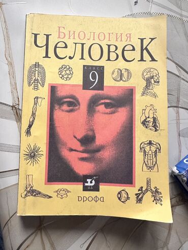 сколько стоят волосы 30 см: Биология 9/8 класс
В отличном состоянии