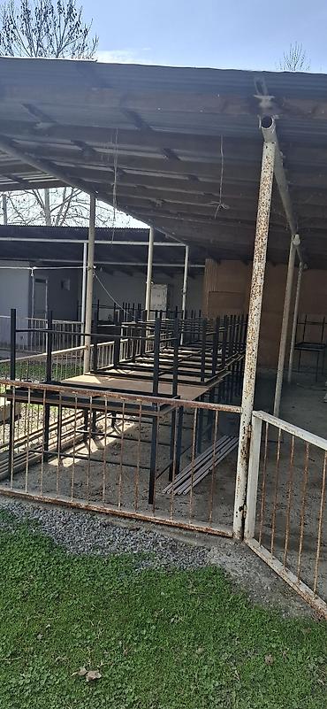 qedim xalca alan: Stol tezedi 22 eded var 1 ededin qiymeti 75 azn — 2