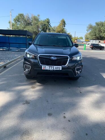 Subaru: Subaru Forester: 2019 г., Кроссовер