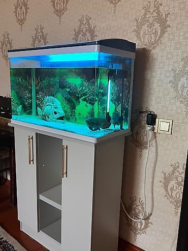 akvaryum filtiri: Akvaryum dəsti – LED işıqlı qapaq, daxili filtr sistemi və şkaflı — 2