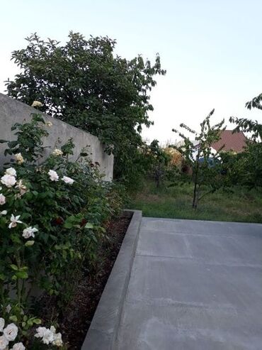 Həyət evləri və villaların satışı: 5 otaqlı, 600 kv. m, Yeni təmirli — 25