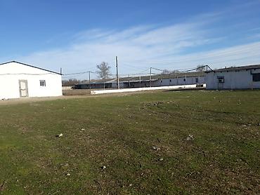 Kommersiya daşınmaz əmlakının satışı: 🔹 Satılır: Ferma – Xudat, Ləcət kəndi 🔹 ✅ Unikal fürsət! Xudat-Yalama — 1