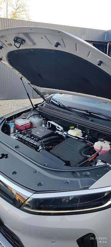 BYD: BYD Sea Lion 05: 2025 г., 1.5 л, Автомат, Гибрид, Кроссовер — 13