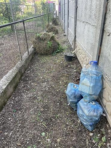 Уборка территории, Уборка двора и сада, Уход за деревьями, Чистка брусчатки