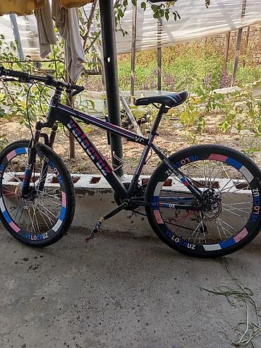 Velocruz dağ velosipedi. Qara rəngli çərçivəyə sahibdir və üzərində