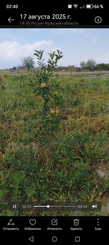 Продажа участков: 450 соток, Для бизнеса, Договор купли-продажи at lalafo.kg — 22 Продажа участков: 450 соток, Для бизнеса, Договор купли-продажи — 22