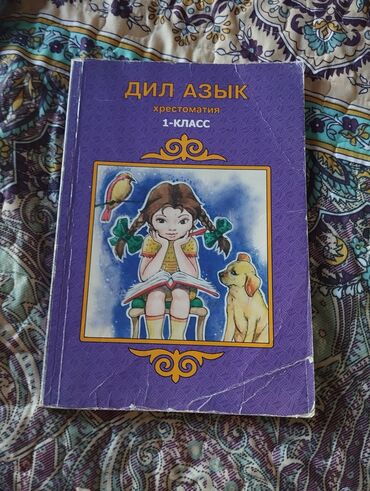 книга python: Дил азык,1-класс