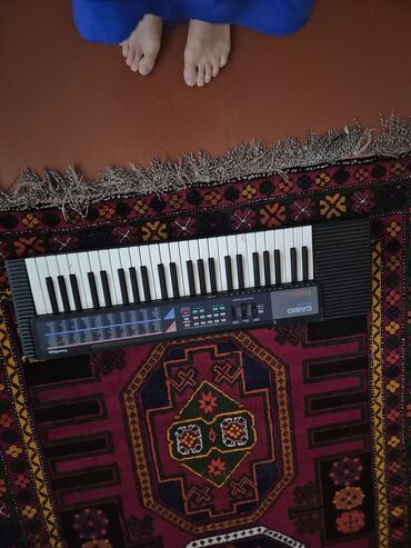 Akkordeonlar: Sintezator, Casio, İşlənmiş