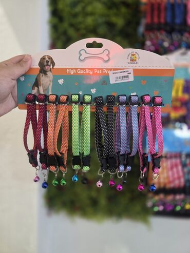 Xaltalar, qayışlar və tasmalar: Pişik və mini itlər üçün boyunbağılar. Taksilə çatdırılma xidmətimiz — 11