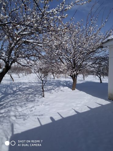 Bağ evlərinin satışı: Lerik, 115 kv. m, 3 otaqlı, İnternet, Telefon, Qaz — 14