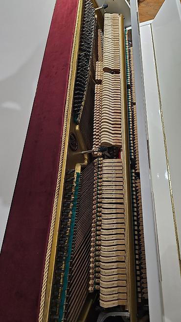 Musiqi alətləri: Piano əla vəziyyətdədir, çox səliqəli saxlanıb. Tokkata modeldir — 5