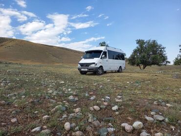 путевки в лагерь: Аэропорт, Каракол, Кашка-Суу Такси, легковое авто, Бус, Автобус | 20 мест