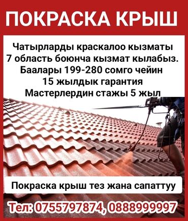 покраска кровли цена: 3-5 лет опыта