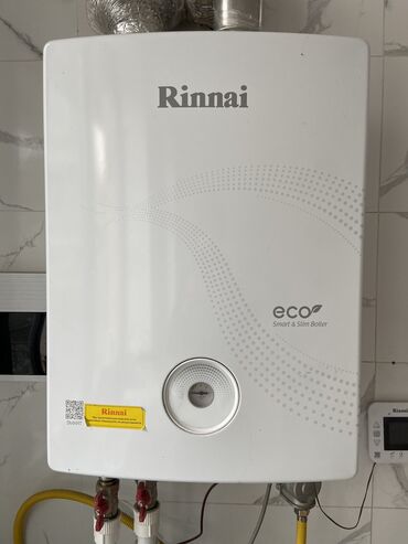 био газ: Газовый котел Rinnai