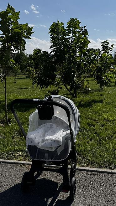 коляска зиппи: Прогулочная система 2-в-1: коляска-шасси + автолюлька-переноска - — 3