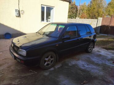 Volkswagen: Volkswagen Golf: 1993 г., 1.6 л, Механика, Бензин, Хэтчбэк