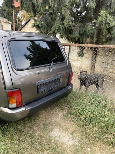 VAZ (LADA): Model: LADA 4x4 (Niva) 3 qapılı SUV Əsas xüsusiyyətlər: - Tam — 8
