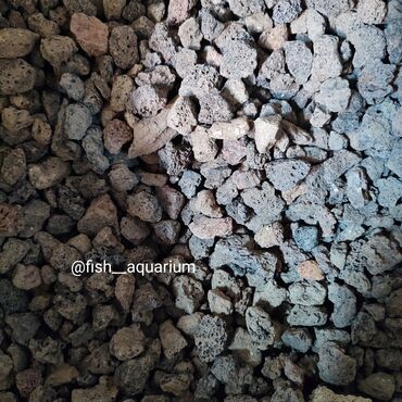 Аквариумы: Аквариумные пески. Грунты для аквариума. Большой выбор. Качественные — 10