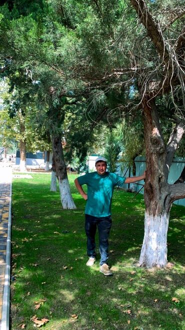 Другие системы полива: Автополив для газонов и сада — проектирование и монтаж «под ключ» — 9