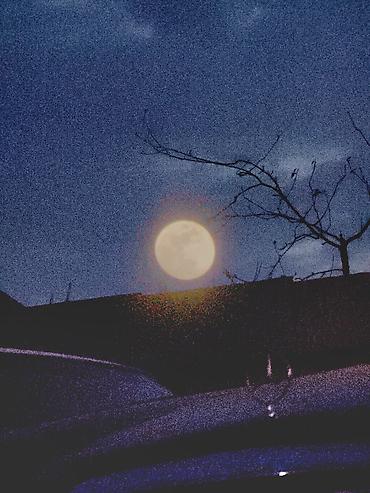 Фотографы, видеооператоры: Фотограф, видеооператор. 19 — 6