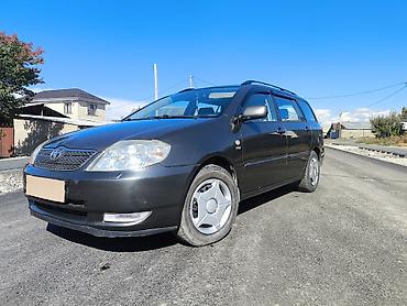 Toyota: Toyota Corolla: 2004 г., 1.6 л, Механика, Бензин, Универсал — 6