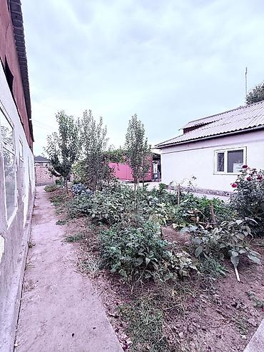 глоба: 5 соток, Для строительства, Красная книга, Договор купли-продажи — 3