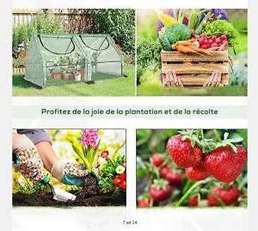 Ostala baštenska oprema: PARKSIDE mini plastenik/folijski rasadnik – model “Folienfrühbeet” - — 8