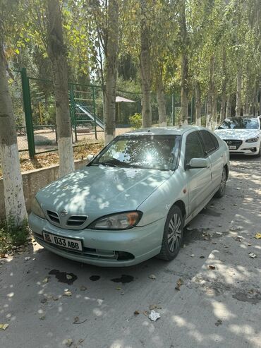 авто в рассрочку без первоначального взноса бишкек: Nissan Primera: 2001 г., 2 л, Автомат, Бензин, Седан