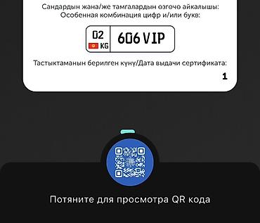 plug in: VIS : 2026 г. — 1