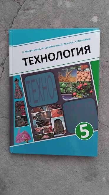 шкатулка книга: Технология 5 класс автор: Ч.Мамбеталиев, Ж.Сулайманова, Д.Акматов