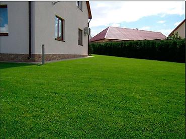 Дворники, садовники: 🌱Я садовник сеем газон с нуля посев газон садовник выезд — 19