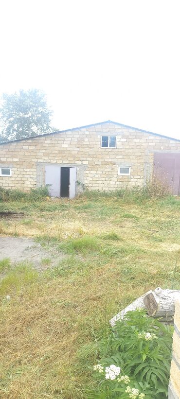 Anbar və emalatxanalar: Ünvan: Qusar şəhəri Ləyər kəndi (ləzgi ləyər) 1hk 68 sot bağ yeri — 2