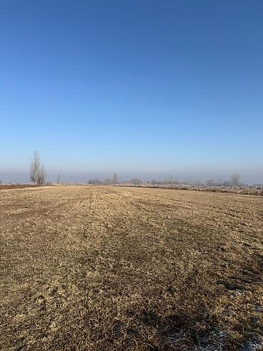 Продажа участков: 280 соток, Для сельского хозяйства — 7