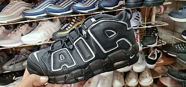 premiata 483 original: Orginal model sa kutijom 39 do 45 za samo 4200 din — 3