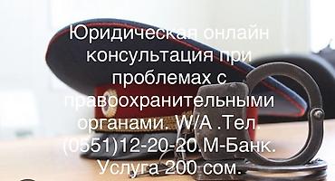 Другие услуги: Онлайн-консультация по гражданским и уголовным делам в суде. Услуга — 5