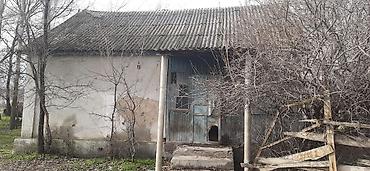 Жилой дом с приусадебным участком в сельской местности. - Одноэтажный