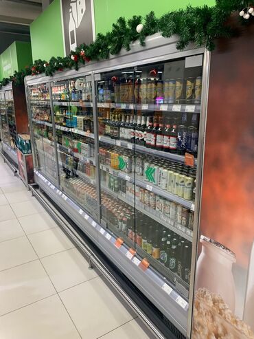 походный холодильник: Для молочных продуктов, Россия, Б/у