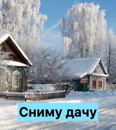 дом предтеченка: Ищу дачу для аренды
