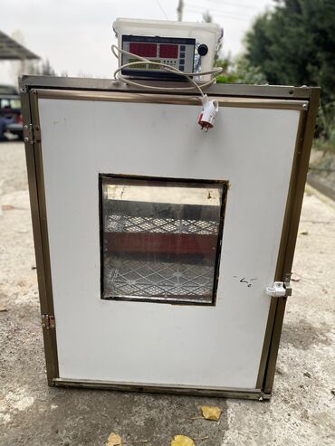 İnkubatorlar: Tam avtomat — 8