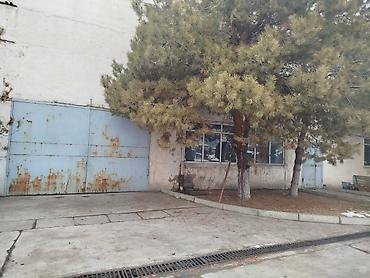 Аренда складов и мастерских: Сдается склад 680 кв. м. охраняемая территория, два въезда, камеры — 3