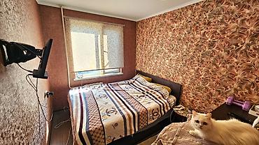 квартира 104 серия: 2 комнаты, 44 м², 104 серия, 3 этаж, Косметический ремонт — 3