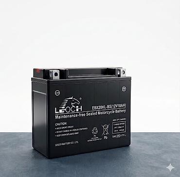 elektrik pompa: Leoch, 18 ah, Orijinal, Çin, Yeni — 2