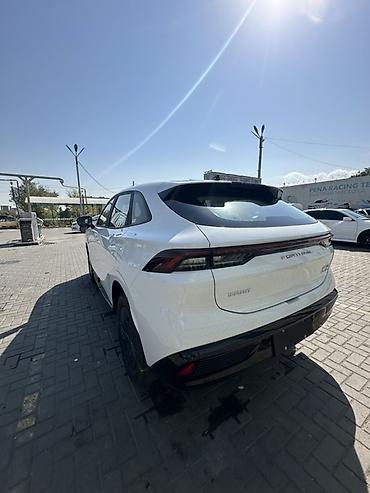 электрическая авто: Dongfeng Aeolus Haohan: 2026 г. — 5
