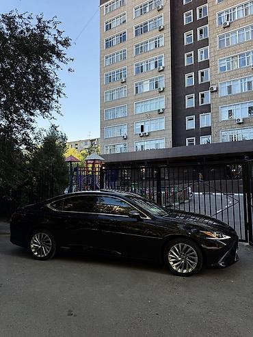 резина летняя 16: Lexus ES: 2020 г., 2.5 л, Вариатор, Гибрид, Седан — 2
