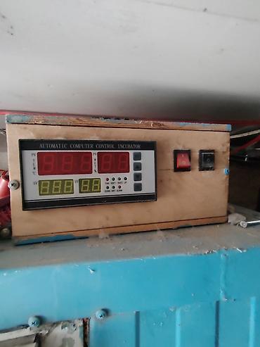 ınqbator: Avtomatik inkubator 500yumurtalıq cixisina qarantia verilir. yuksek — 1