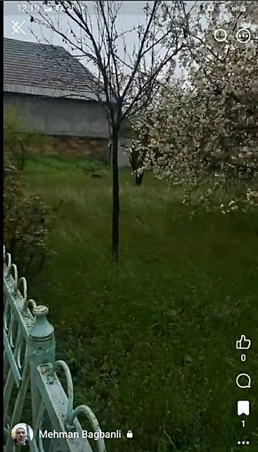 Uzunmüddətli kirayə evlər: 200 kv. m, 8 otaq — 10