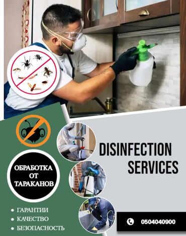 уничтожения тараканов: Дезинфекция, дезинсекция | Тараканы | Транспорт, Офисы, Квартиры