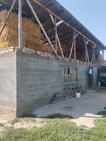 ящики деревянные декоративные: Срочно продаю 🏡 11*14 участок 12.60сотка сарай 15*5 - Большие — 8