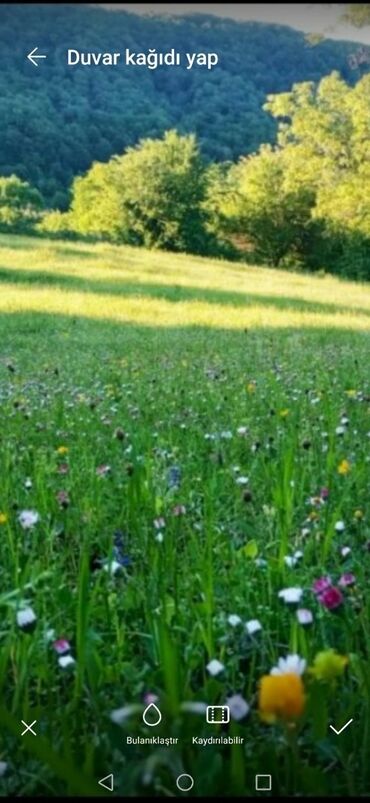 Günlük kirayə evlər: 90 kv. m, 3 otaqlı — 15