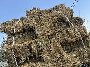 кеклик бишкек: Беде сатылат Учкоргон келишим бада — 2